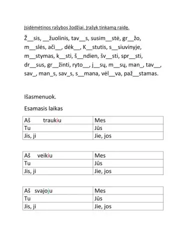 Įsidėmėtini žodžiai. Asmenavmas