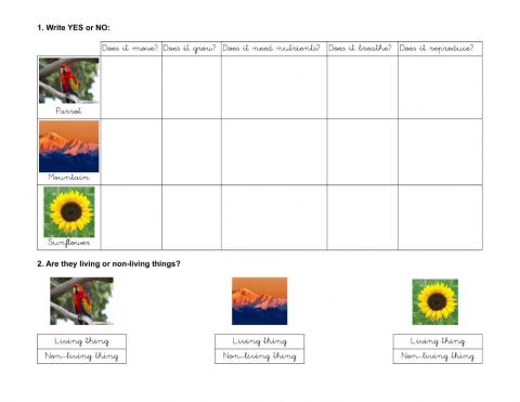 Living non-living things