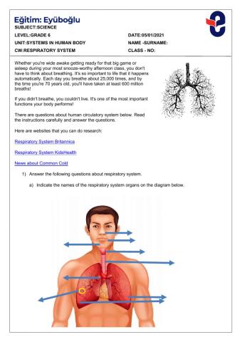 Respiratory system1