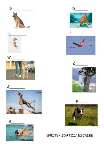 Unit 2  unit 2 animals