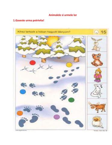 Gaseste urma potrivita!