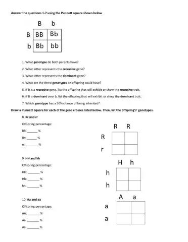 Punnet Square Practice Worksheet