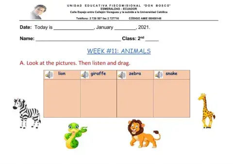 Animals-prepositions
