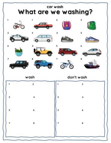 Car Wash: What Do We wash?