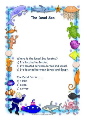 The Dead Sea