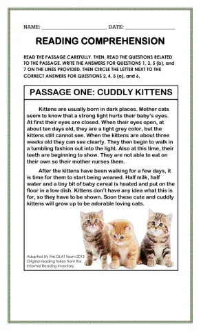 Main Idea and Supporting Details