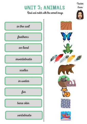 Unit 3: Animals