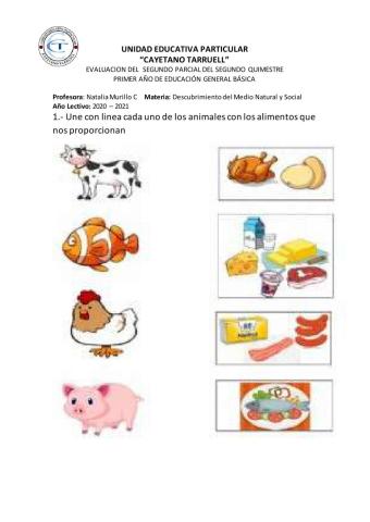 Descubrimiento del Mundo Natural y Social