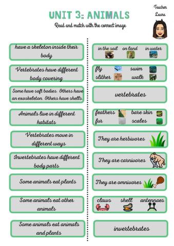 Unit 3: Animals