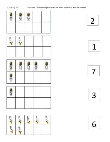 Count and Match numeral