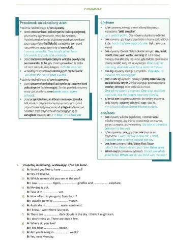 E8 U7 Zakupy i usługi Grammar