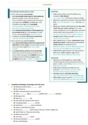 E8 U7 Zakupy i usługi Grammar