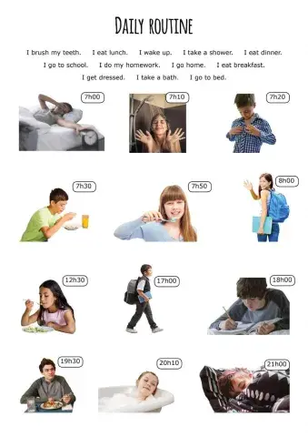 Daily routine - verbs