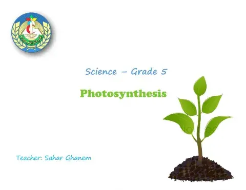 Photosynthesis