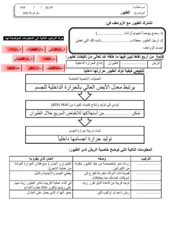 ورقة 10تفاعلية2