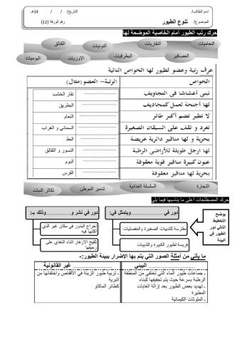 ورقة 12تفاعلية2