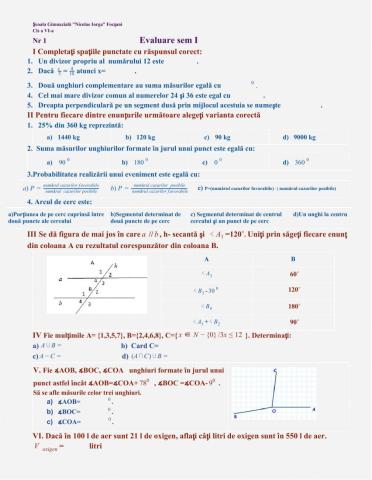 Evaluare sumativă, cls a VI-a,sem I