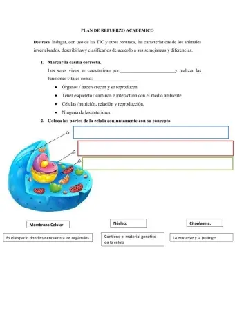 Repaso ciencias naturales 7mo