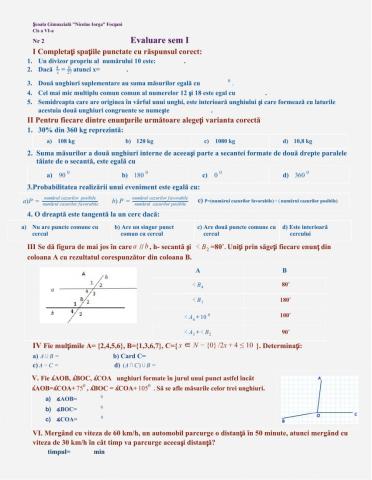 Evaluare sumativă, cls a VI-a, sem I,nr2