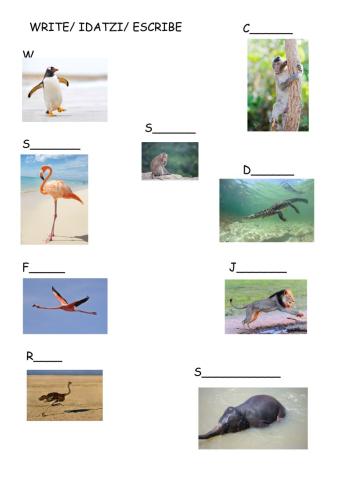 Unit 2  unit 2 animals 2