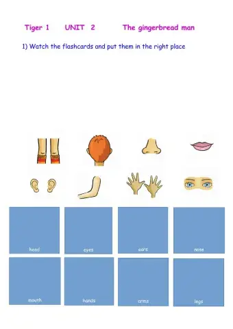 Body Parts Tiger 1 Unit 2