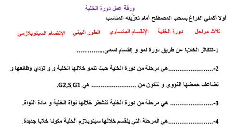 دورةحياةالخلية1
