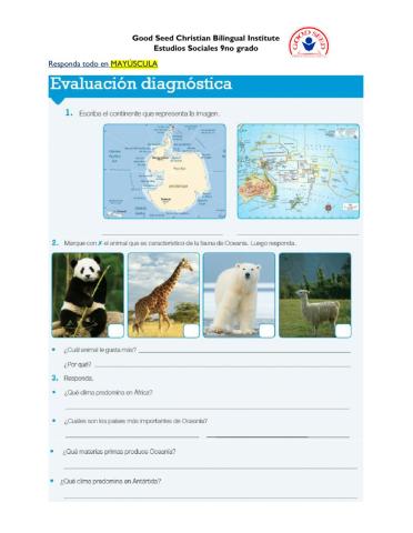 Evaluación diagnóstica U3