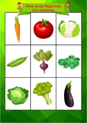 Ποια είναι τα λαχανικά του χειμώνα-