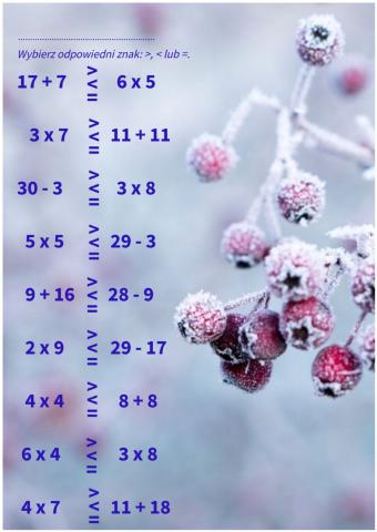 Porównywanie liczb w zakresie 30