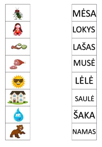 Skaitymos suvokimas Žodžiai