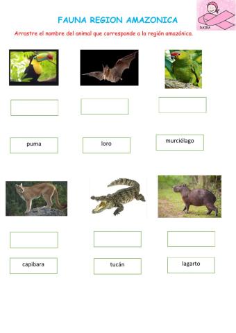 Fauna de la región amazónica