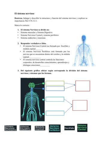 Repaso ciencias naturales 7mo