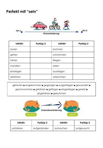 Perfekt mit -sein- - Partizipien