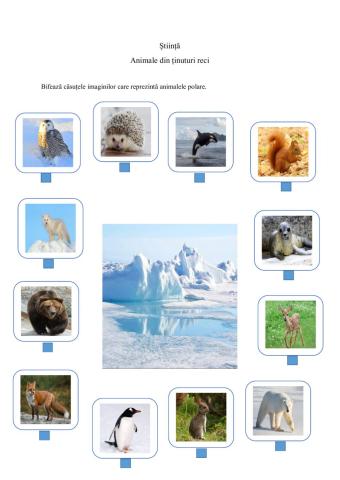 Animalele din ținuturi reci