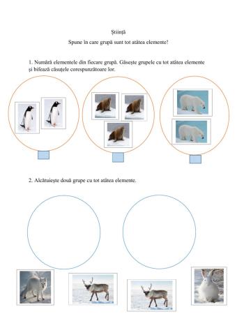 Spune în care grupă sunt tot atâtea elemente!