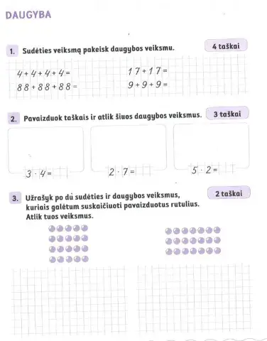 Matematikos pasitikrinamasis darbas