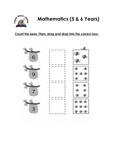 5 & 6 Years: Mathematics (Counting 1)