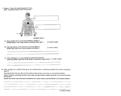 Uji pemahaman Bab 7 (7.1 Sistem Endokrin Manusia)