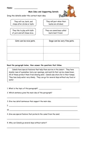 Main Idea & Supporting Details