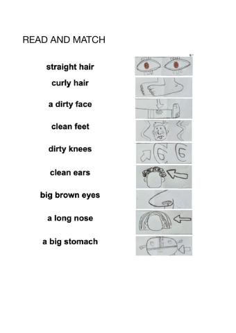 Match the words to the pictures