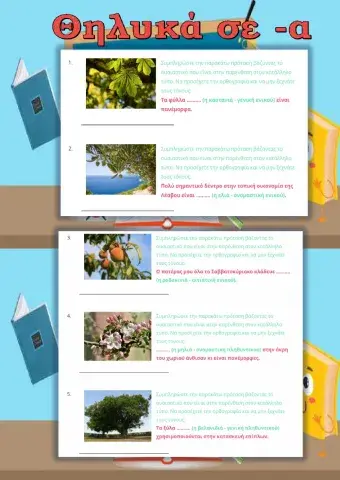 Θηλυκά σε -α