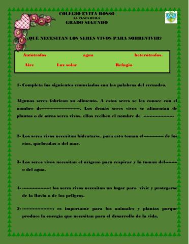 ¿Qué necesitan los seres vivos para sobrevivir?