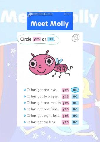 Meet Molly