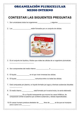 Medio interno-organizacion pluricelular