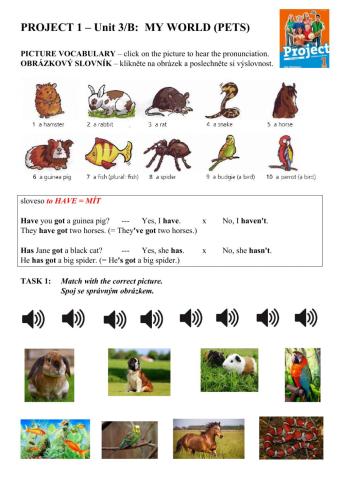 Project 1 Unit 3B - p30+31 - PETS