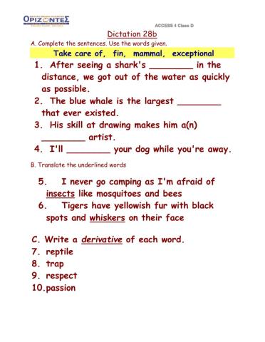 D class -Dictation 28B