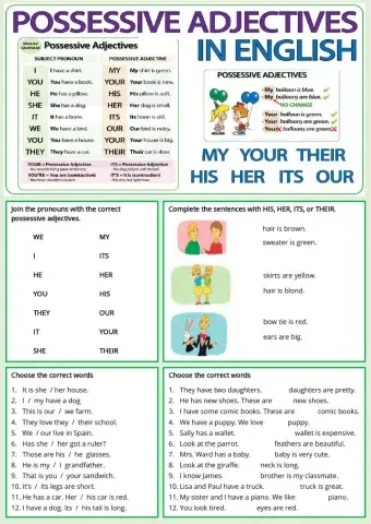 Possessive Adjectives
