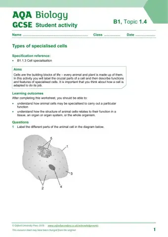 Specialised cells