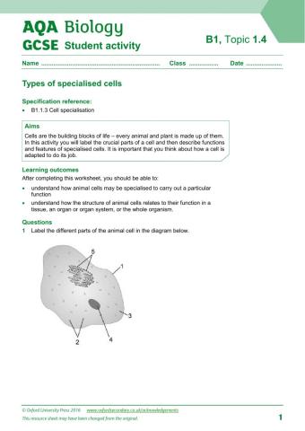 Specialised cells