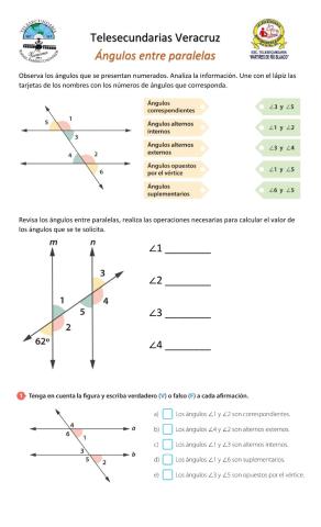 Ángulos entre paralelas